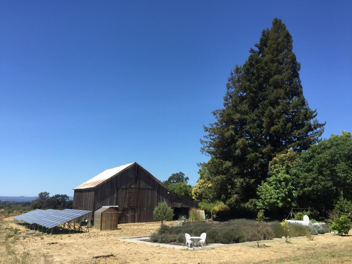 The Gables Wine Country Inn Santa Rosa Esterno foto