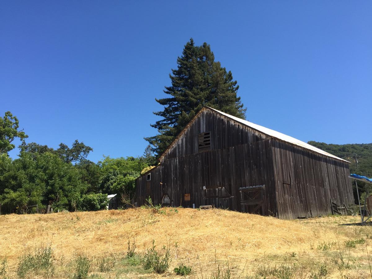 The Gables Wine Country Inn Santa Rosa Esterno foto